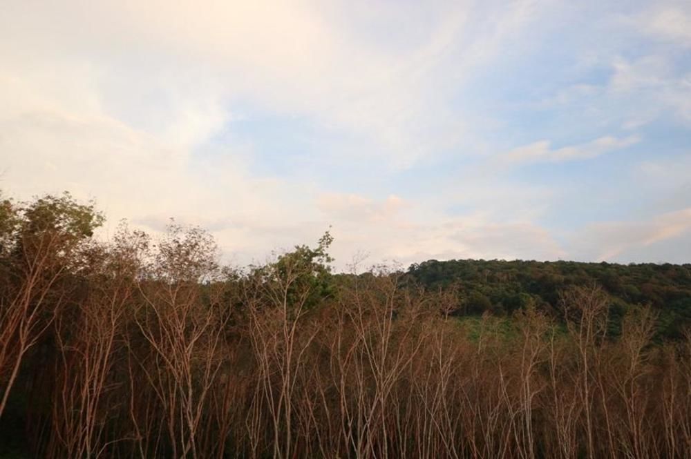 Hill At Lanta 3*